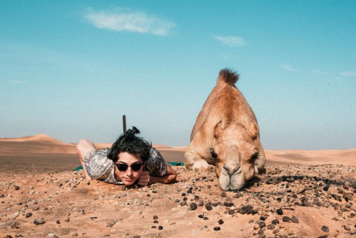 Op hol geslagen kameel verwondt zeven mensen