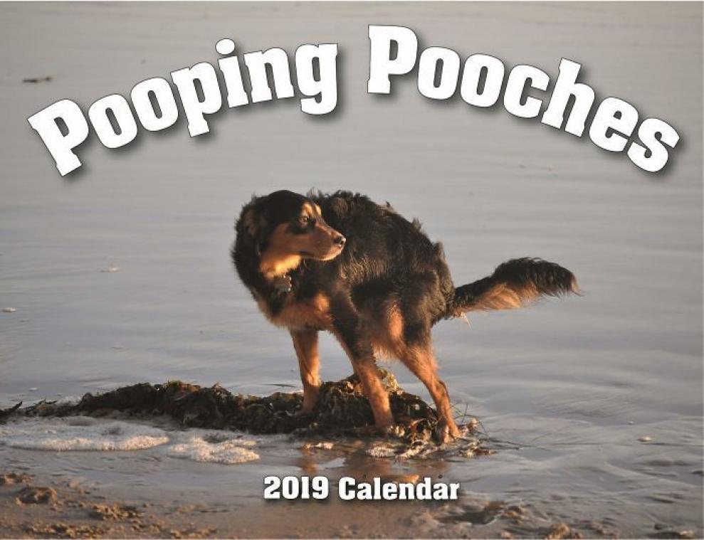IN BEELD. Honden leggen drol voor originele jaarkalender