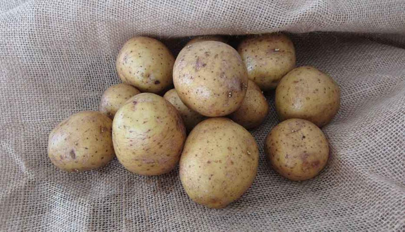De week van de diëtist ontkracht hardnekkinge voedingsmythes: "Van aardappelen word je niet dik"
