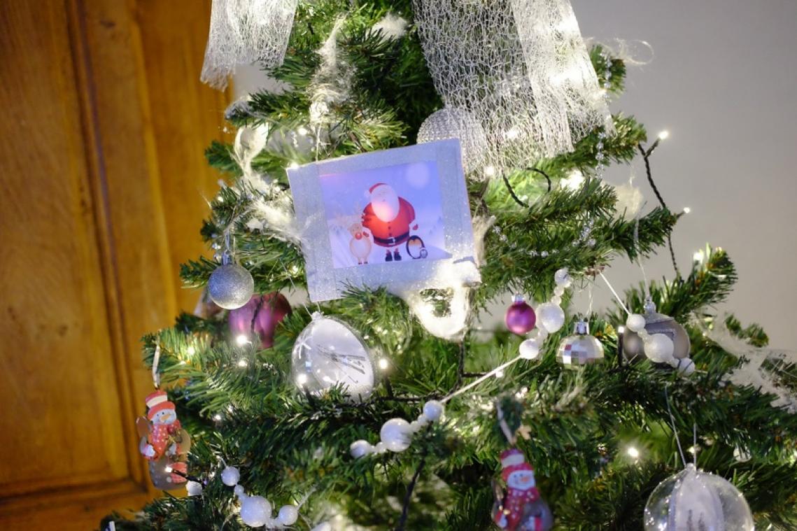 Belg kiest meer en meer voor natuurlijke kerstboom