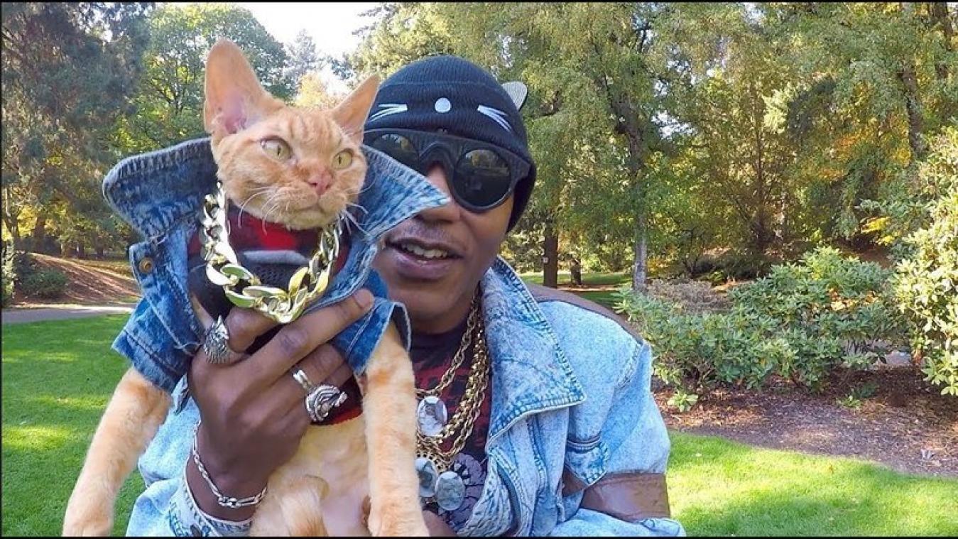 VIDEO. Rapper zingt alleen over katten