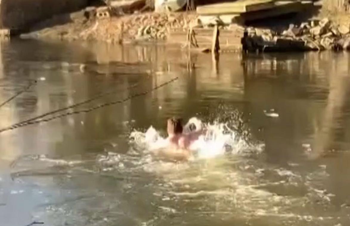 VIDEO. Held springt in bevroren water om kat te redden