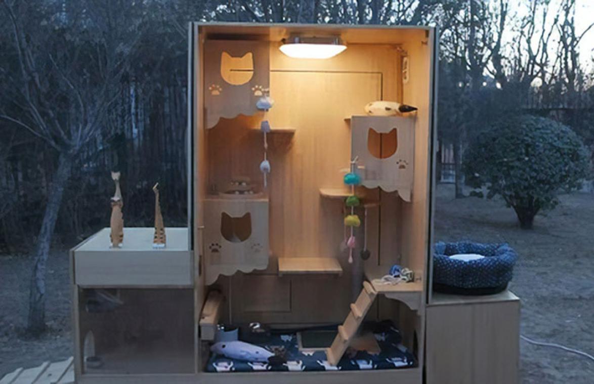 Man bouwt schuilplaats met artificiële intelligentie voor straatkatten