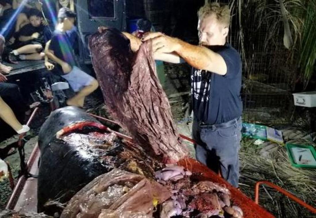 Veertig kilogram plastic gevonden in dode walvis in de Filipijnen