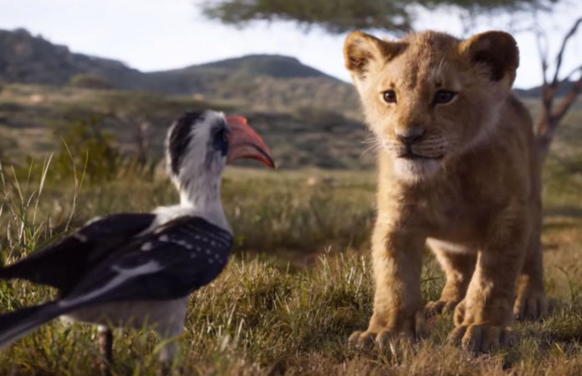 VIDEO. Timon en Pumbaa te zien in nieuwe trailer 'The Lion King'