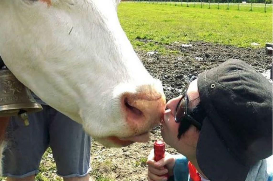 Oostenrijk vraagt inwoners geen koeien meer te kussen