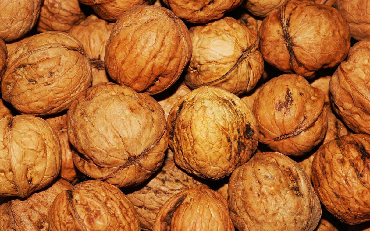Daarom zijn walnoten goed voor je gezondheid