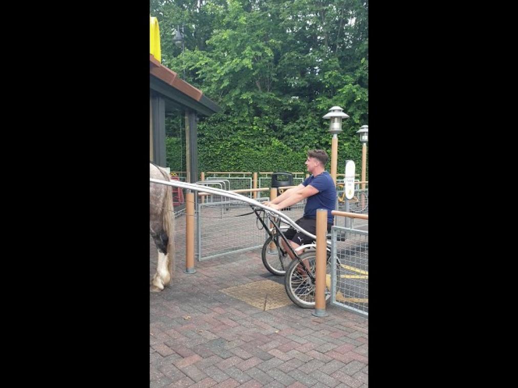 VIDEO. Paard weigert om McDonald's binnen te stappen