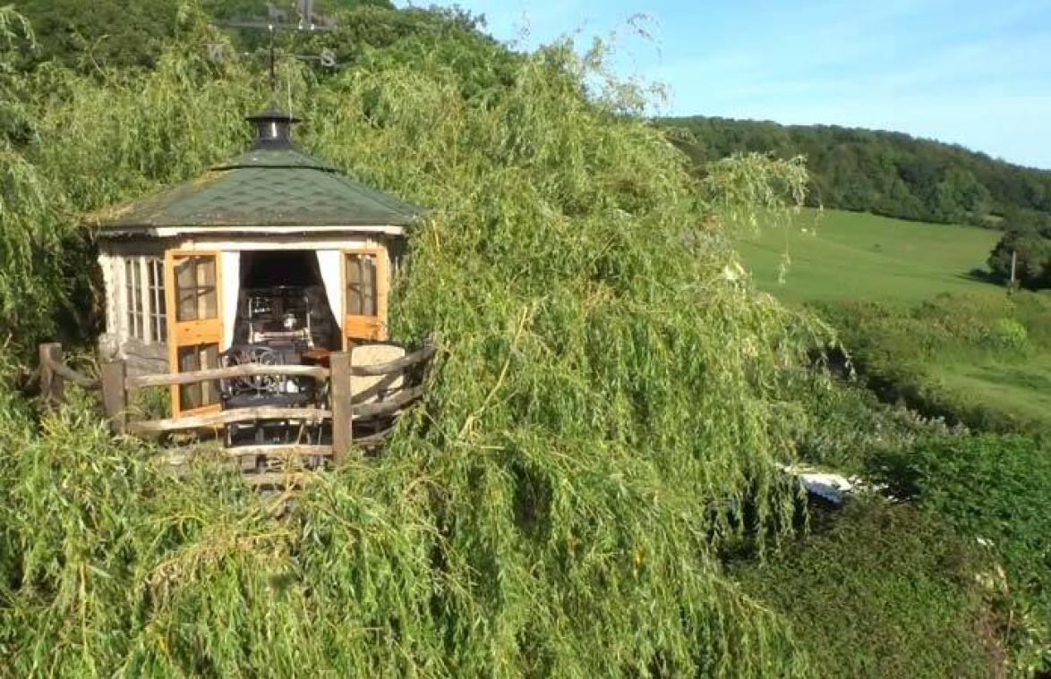 VIDEO. Opa bouwt feeërieke boomhut in zijn achtertuin