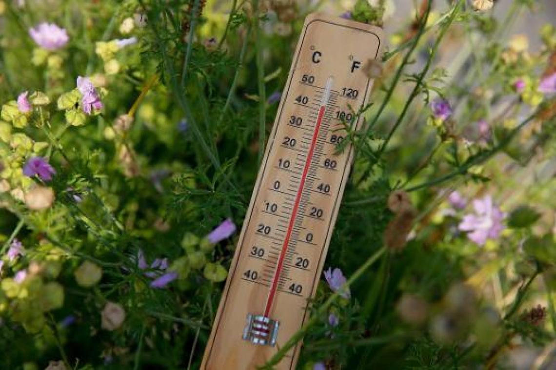 Hitterecord naar boven bijgesteld: woensdag meer dan 40 graden gehaald in Angleur