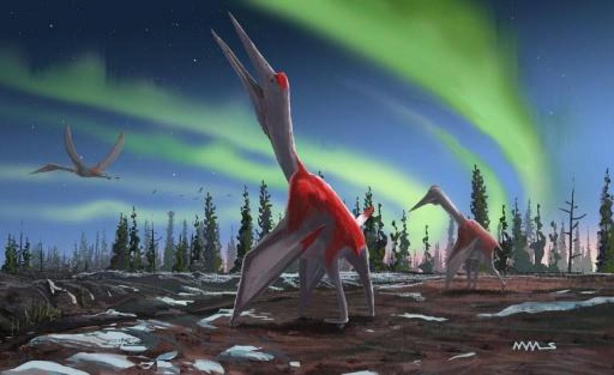 Een van de grootste vliegende dinosaurussen geïdentificeerd in Canada