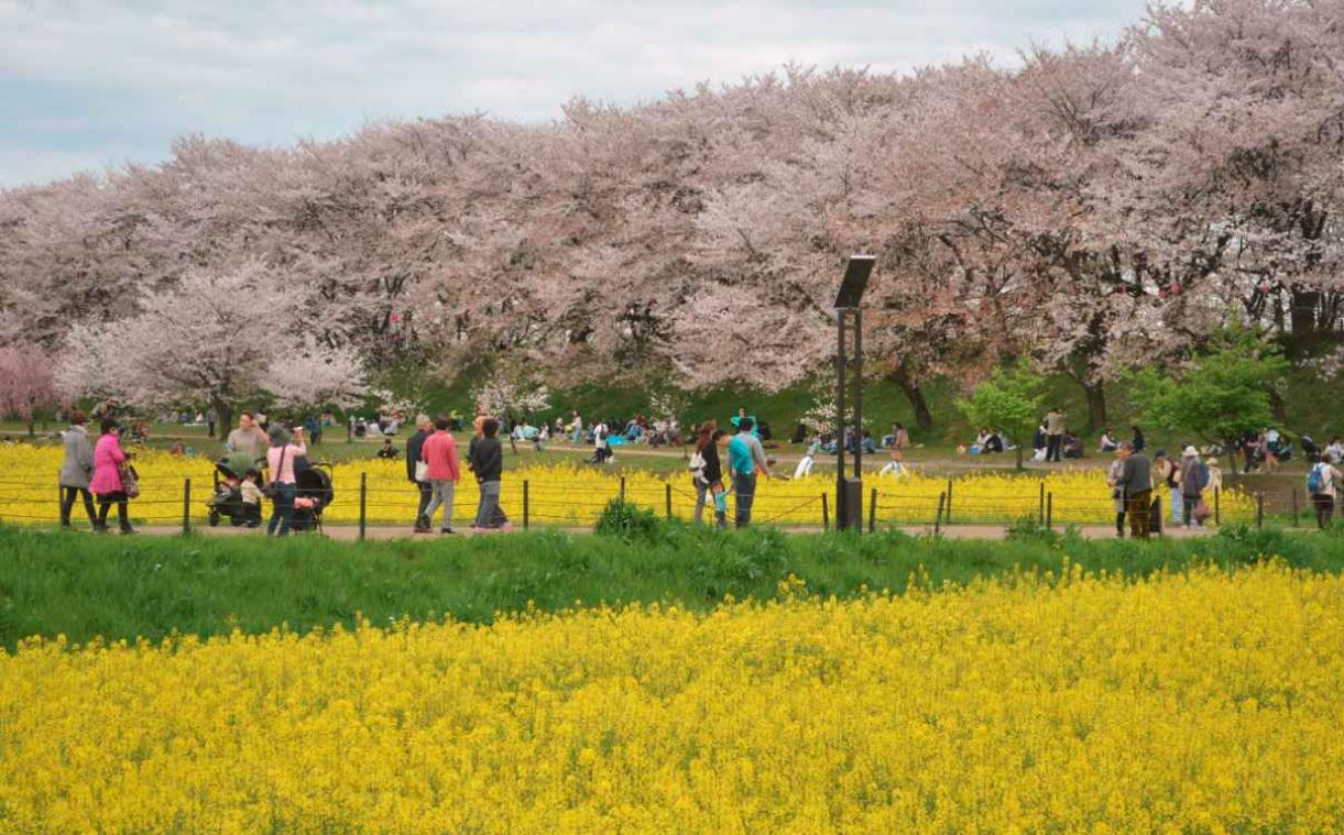 Japan is boerse toeristen beu