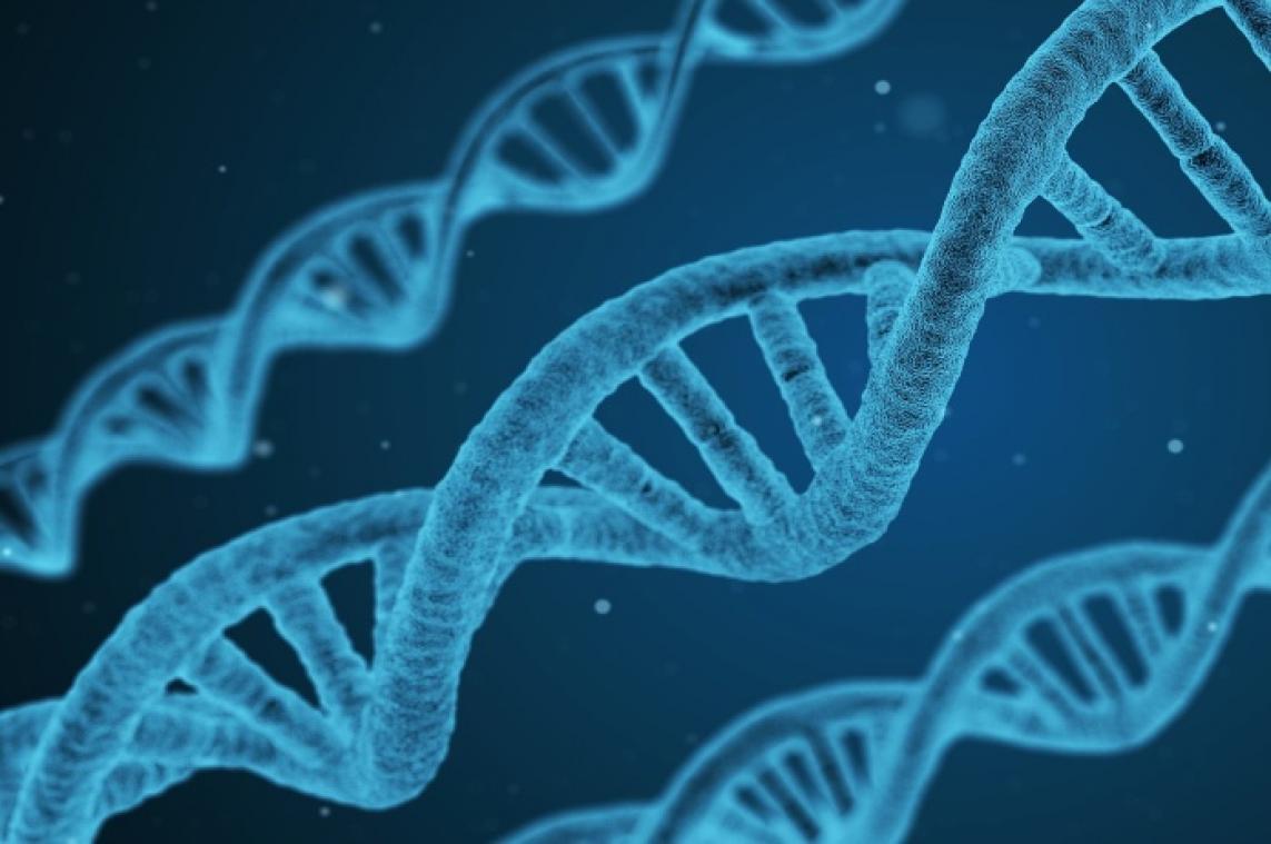 Nieuwe datingapp wil erfelijke ziektes bestrijden door DNA te matchen