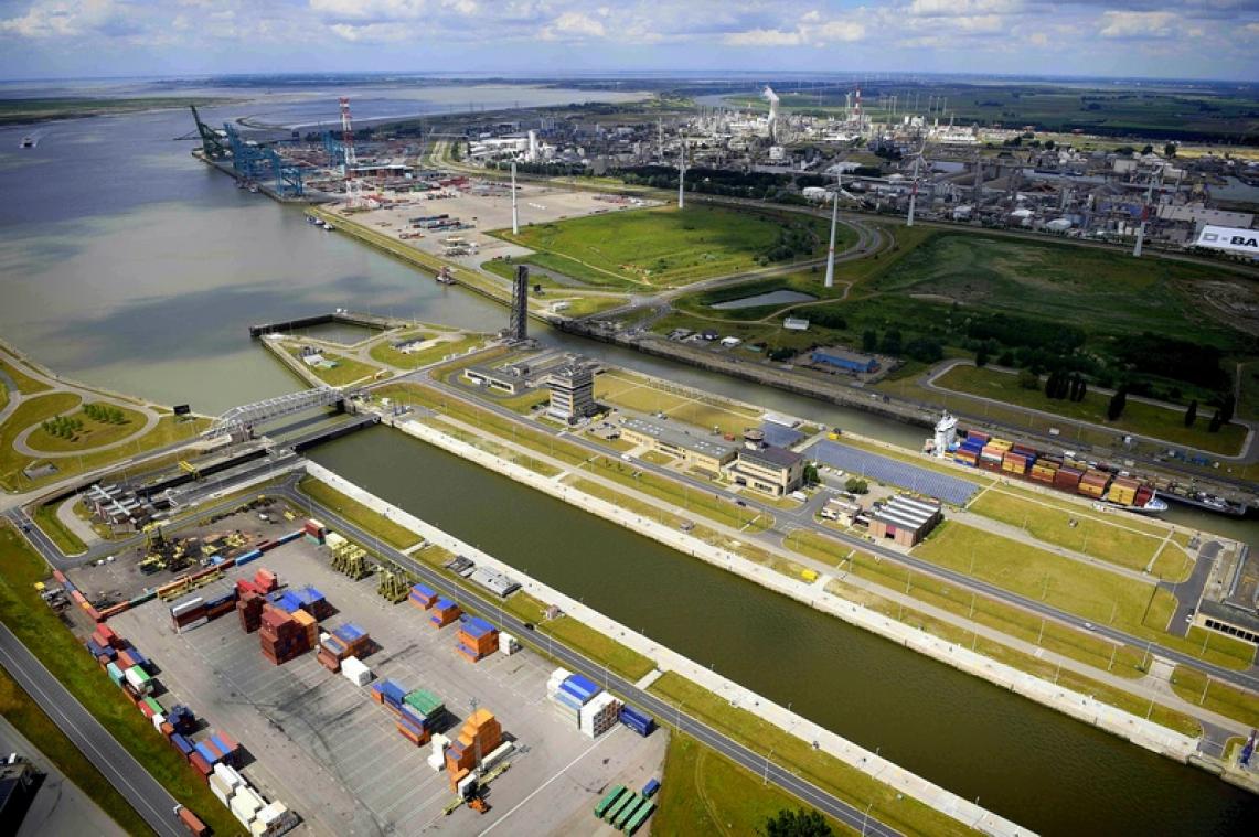 Stofzuiger moet Antwerps natuurgebied in haven verlossen van plastic korrels