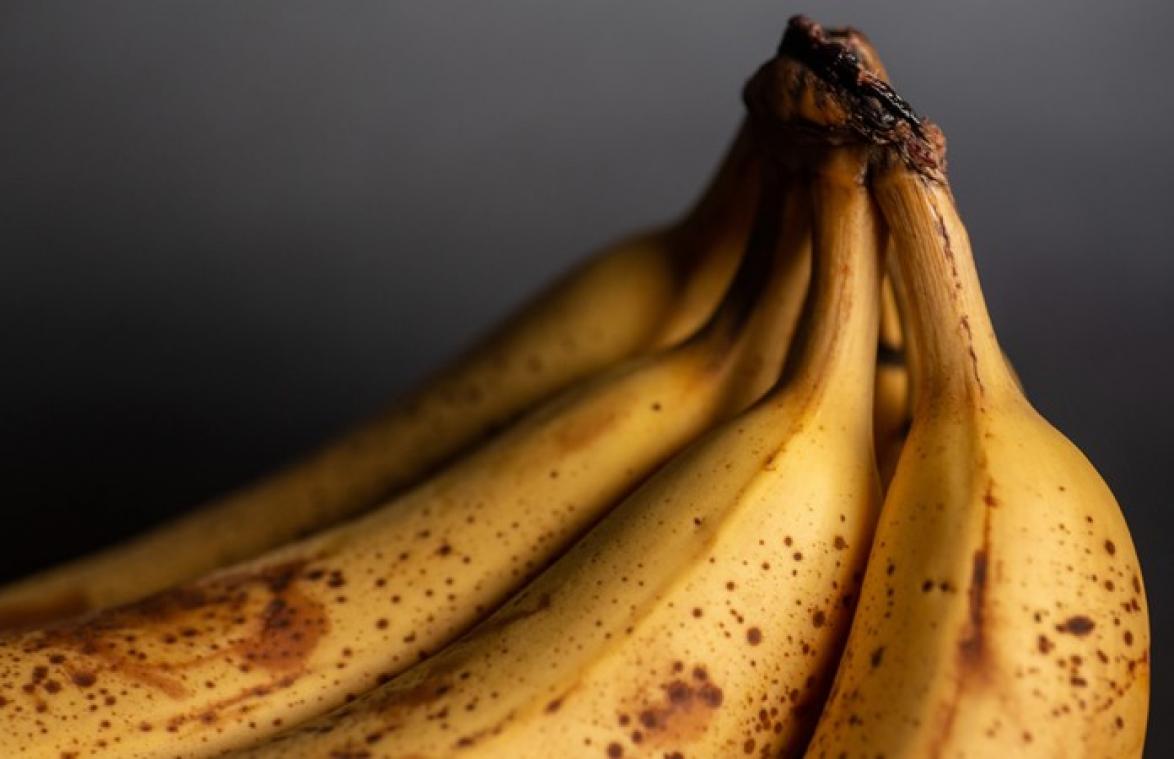 Man ontdekt nest van dodelijke spinnen op banaan uit supermarkt