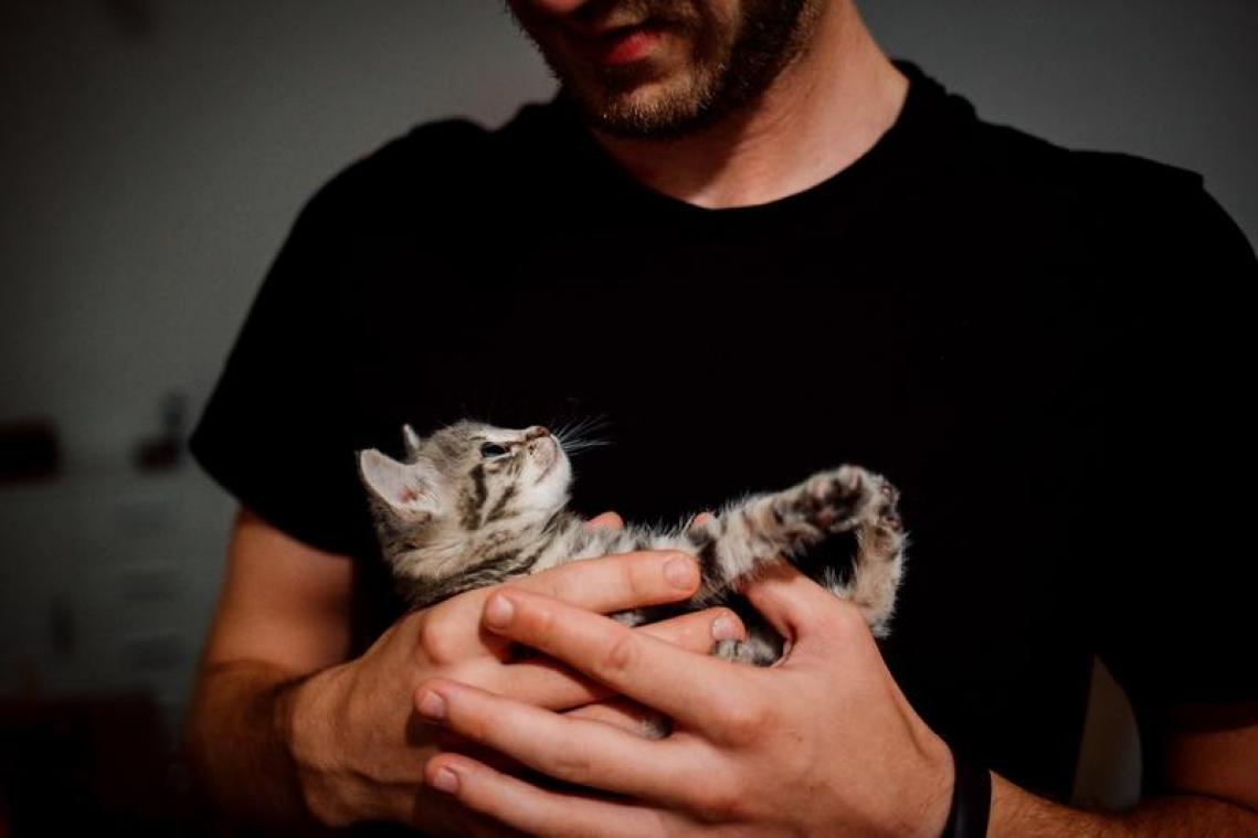 BIZAR. Mannen met een kat vinden moeilijker een lief - Metrotime