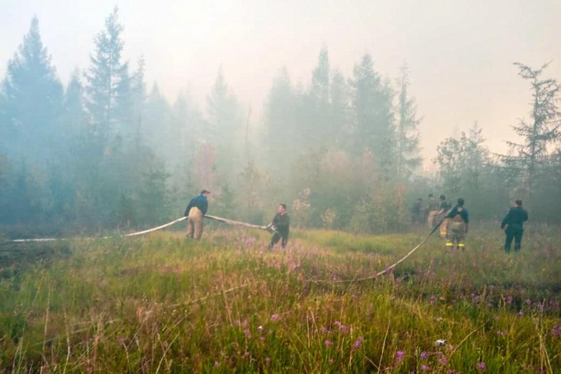 Bosbranden in Noordpoolgebied stootten dit jaar al 35% meer CO2 uit dan in heel 2019