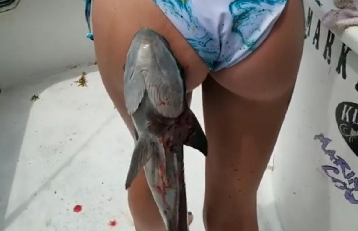 WTF! Vis zuigt zich vast aan billen van vrouw (video)