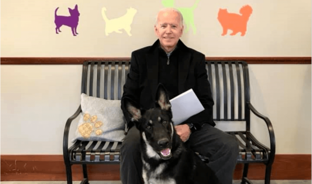 Hoe de hond van Joe Biden geschiedenis schreef bij zijn intrek in het Witte Huis (foto's)