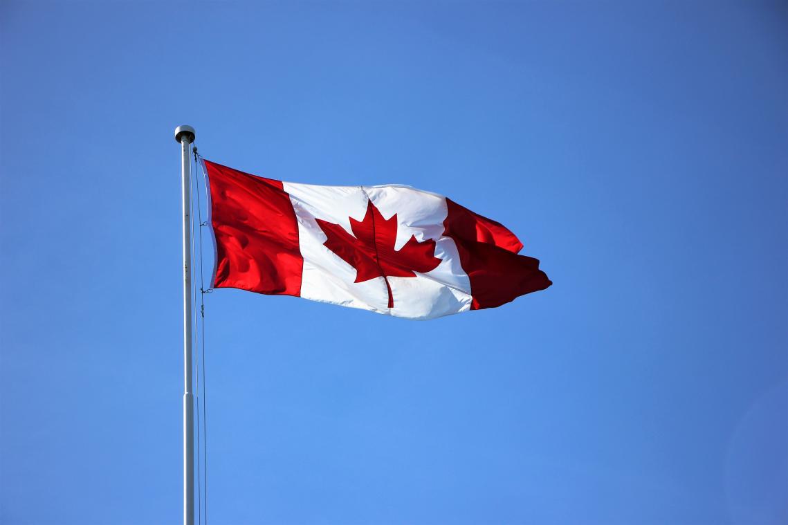 Canadees parlementslid gaat volledig naakt in videovergadering: "Ik ben beschaamd" (foto)