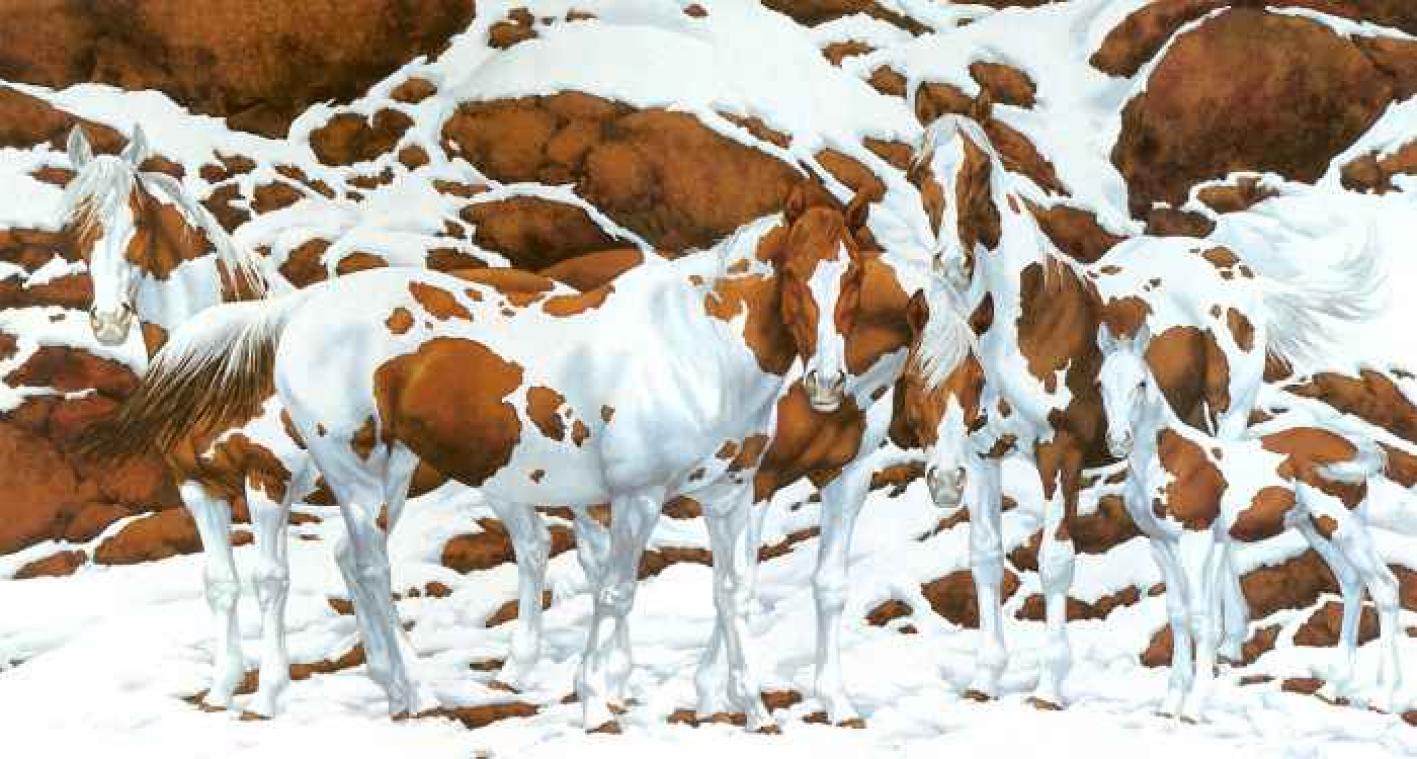 Poll: Zie jij hoeveel paarden op deze optische illusie staan?