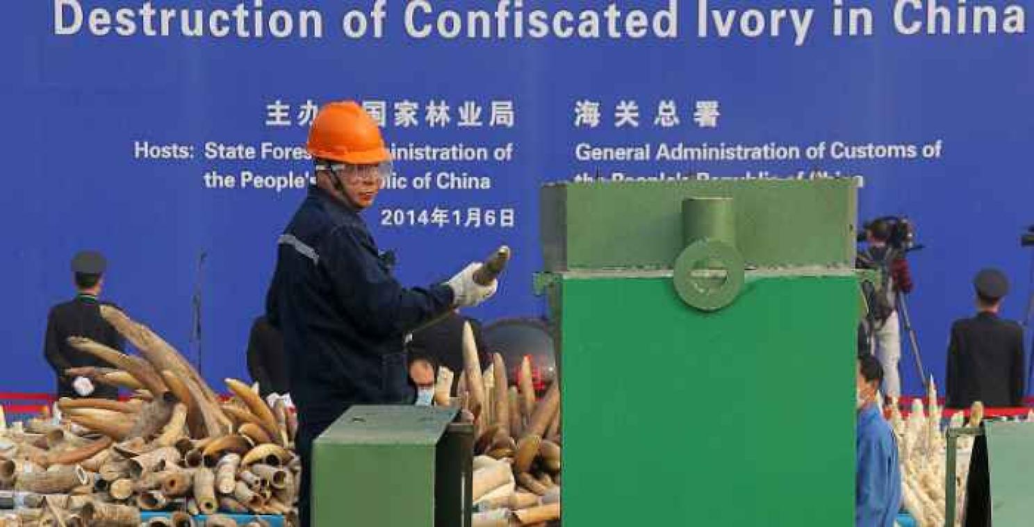 China verwoest zes ton illegaal ivoor 