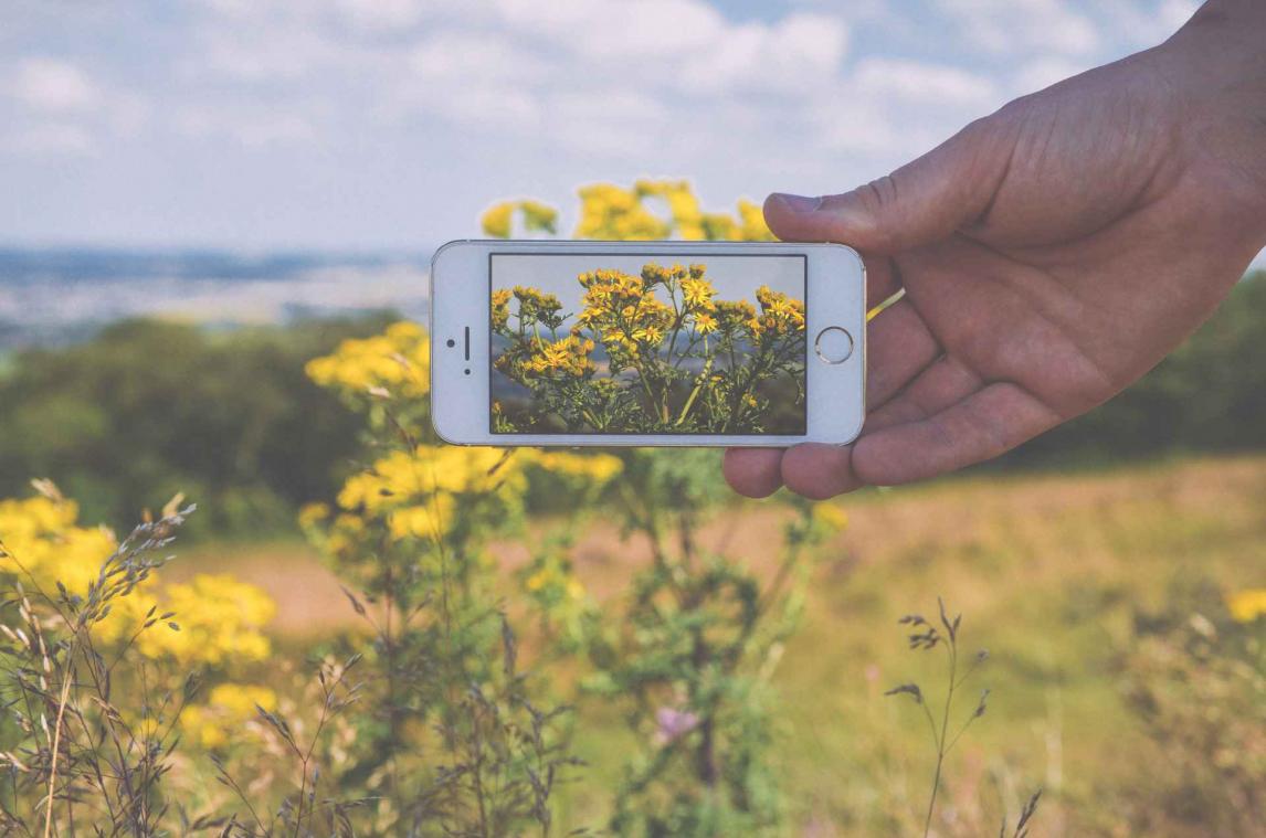 Herken bloemen met je smartphone