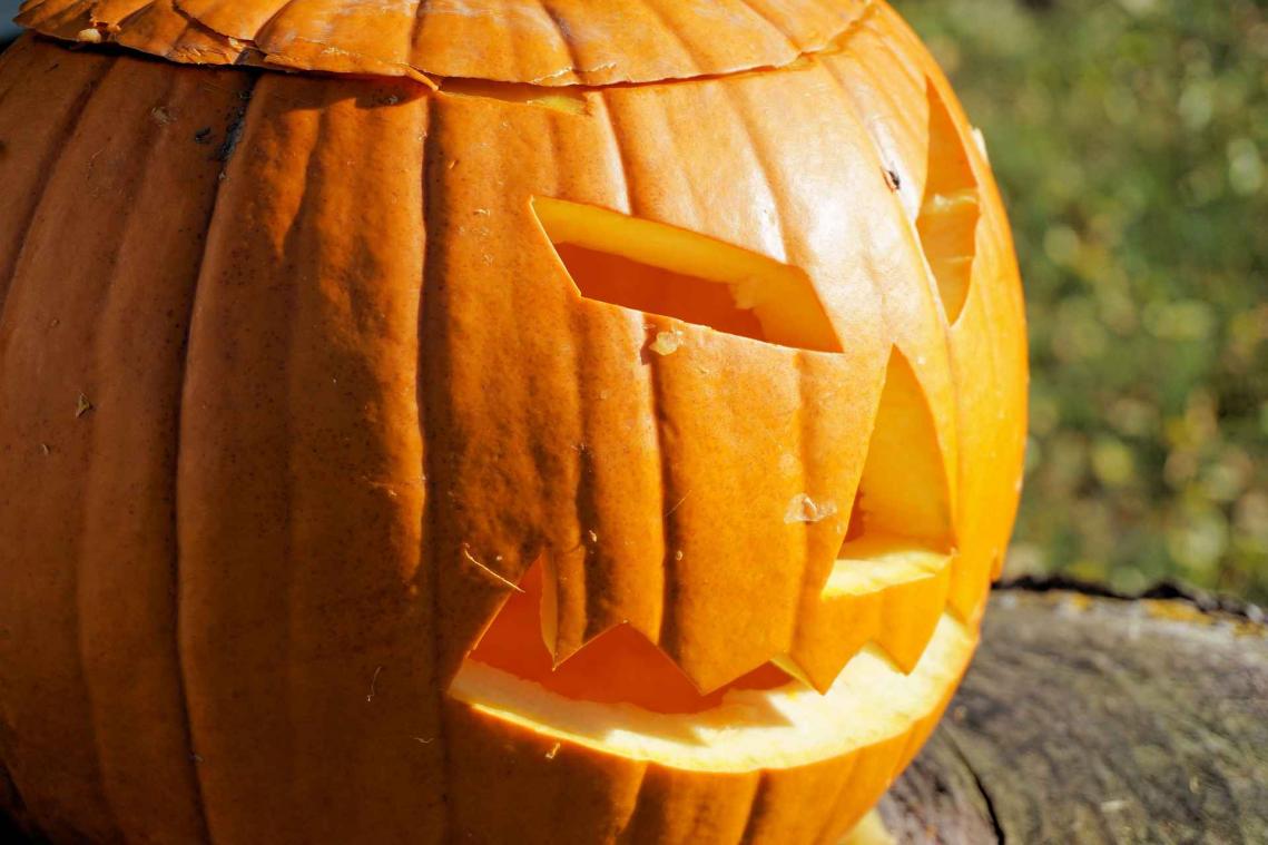 Meer trick dan treat: 6 niet-zo-mainstream Halloweensnoepjes