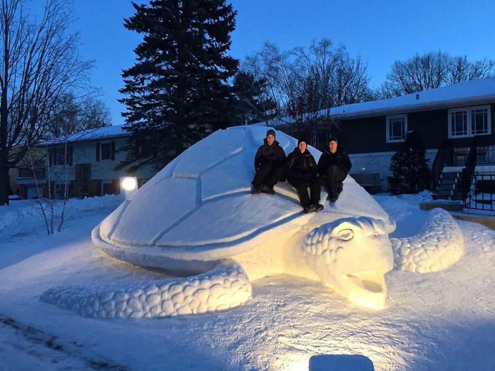 Broers bouwen reusachtige sneeuwschildpad