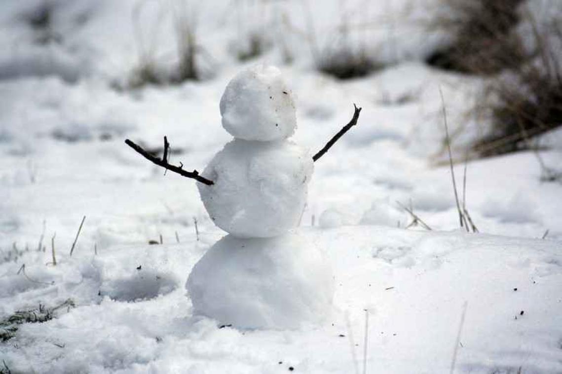 Dunner dan een haartje: de kleinste sneeuwman ter wereld