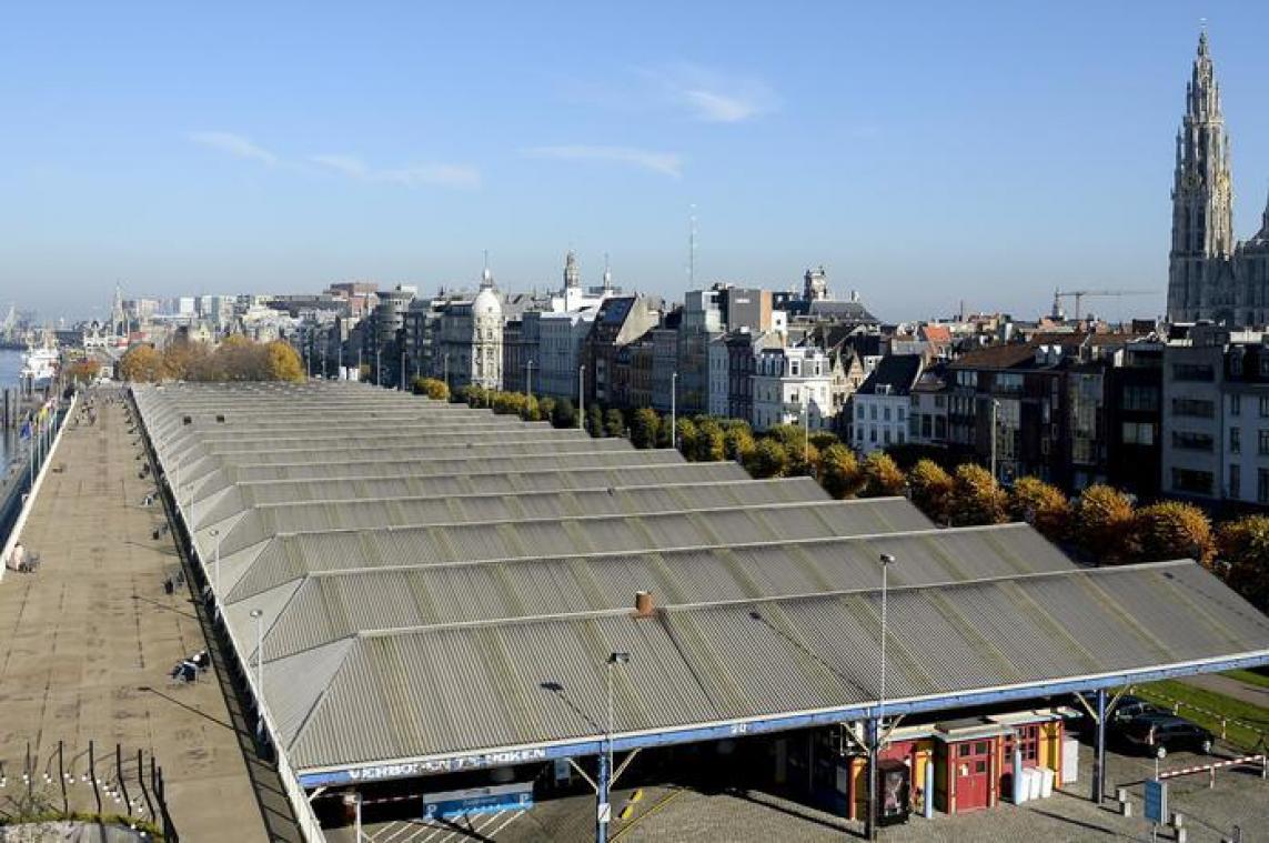 Antwerpen wordt slimste Vlaamse stad
