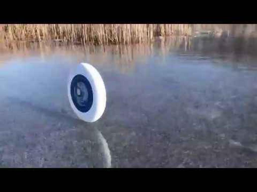 Frisbee steekt bevroren meer op zijn eentje over
