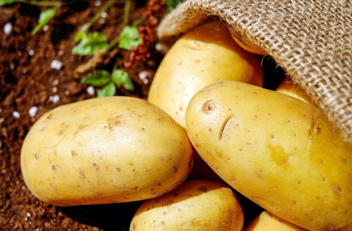 Aardappelen kweken op Mars is mogelijk