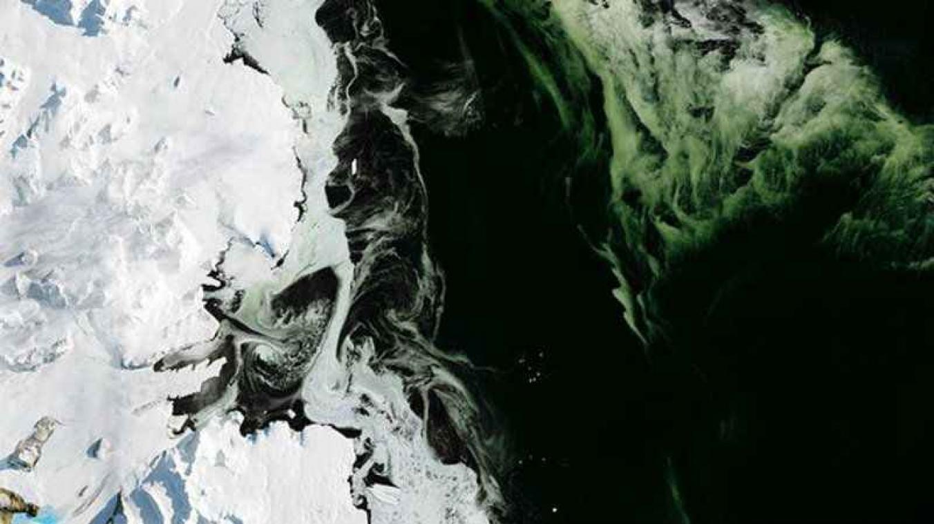 Groen zee-ijs in Antarctica doet vragen rijzen