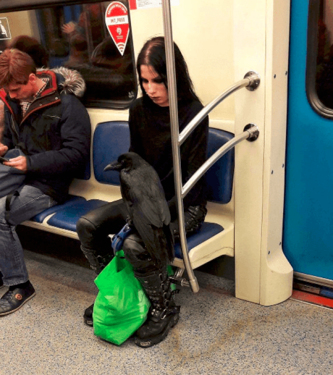 Wil je plaats op de metro? Neem dan je enge huisdier mee