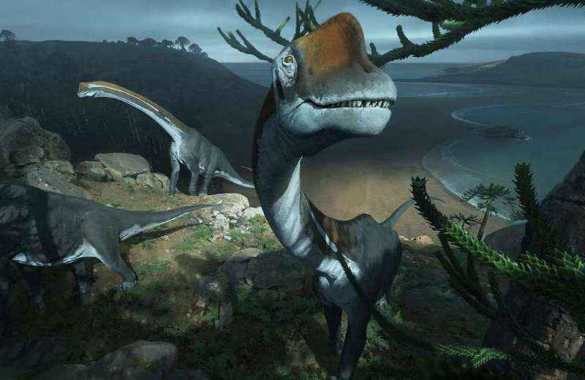 Wetenschappers ontdekken nieuwe dinosaurus