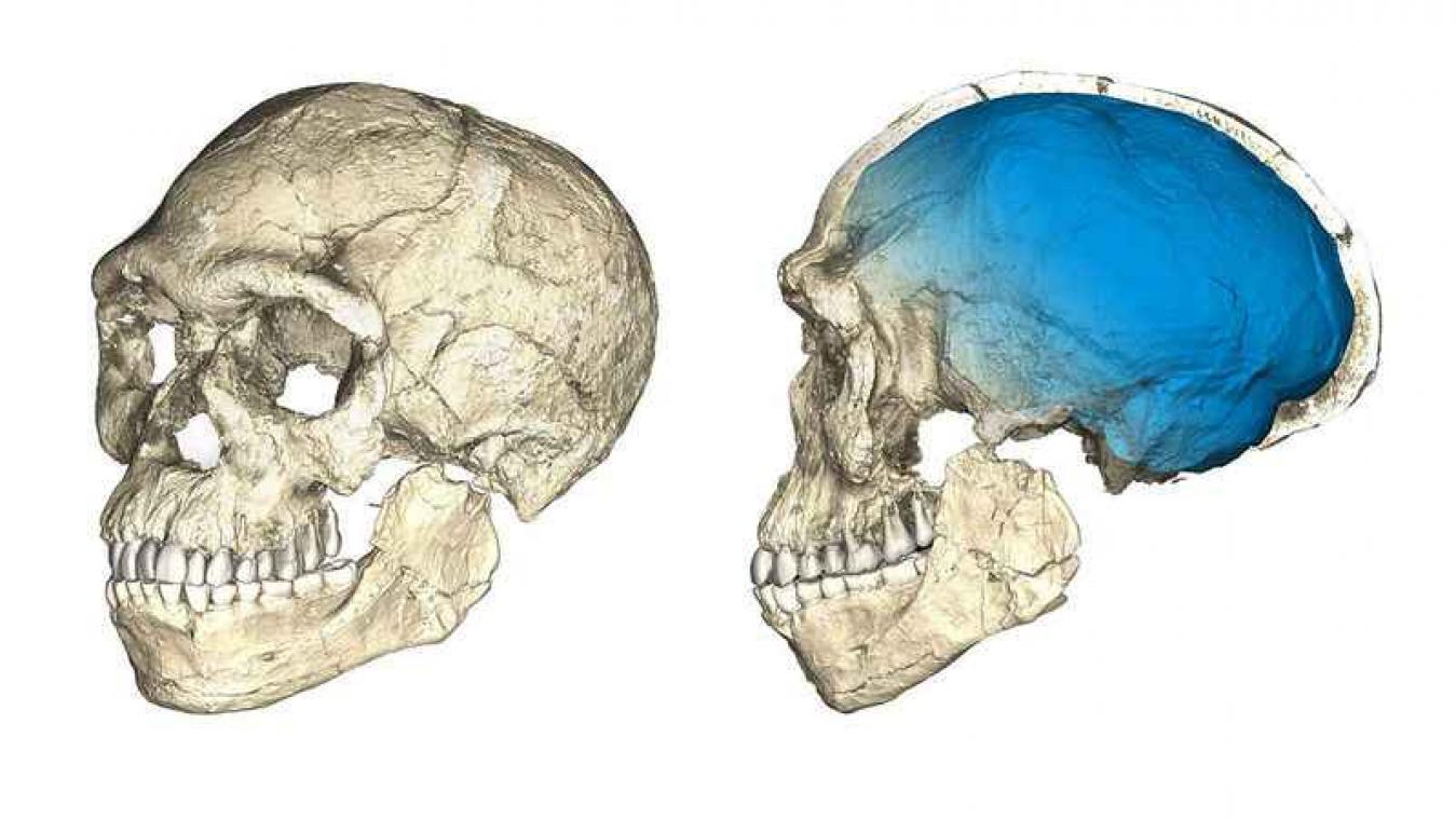 Eerste moderne mens is 100.000 jaar ouder dan gedacht