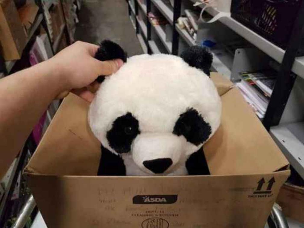 Jongetje 'reserveert' panda-knuffel om aandoenlijke reden