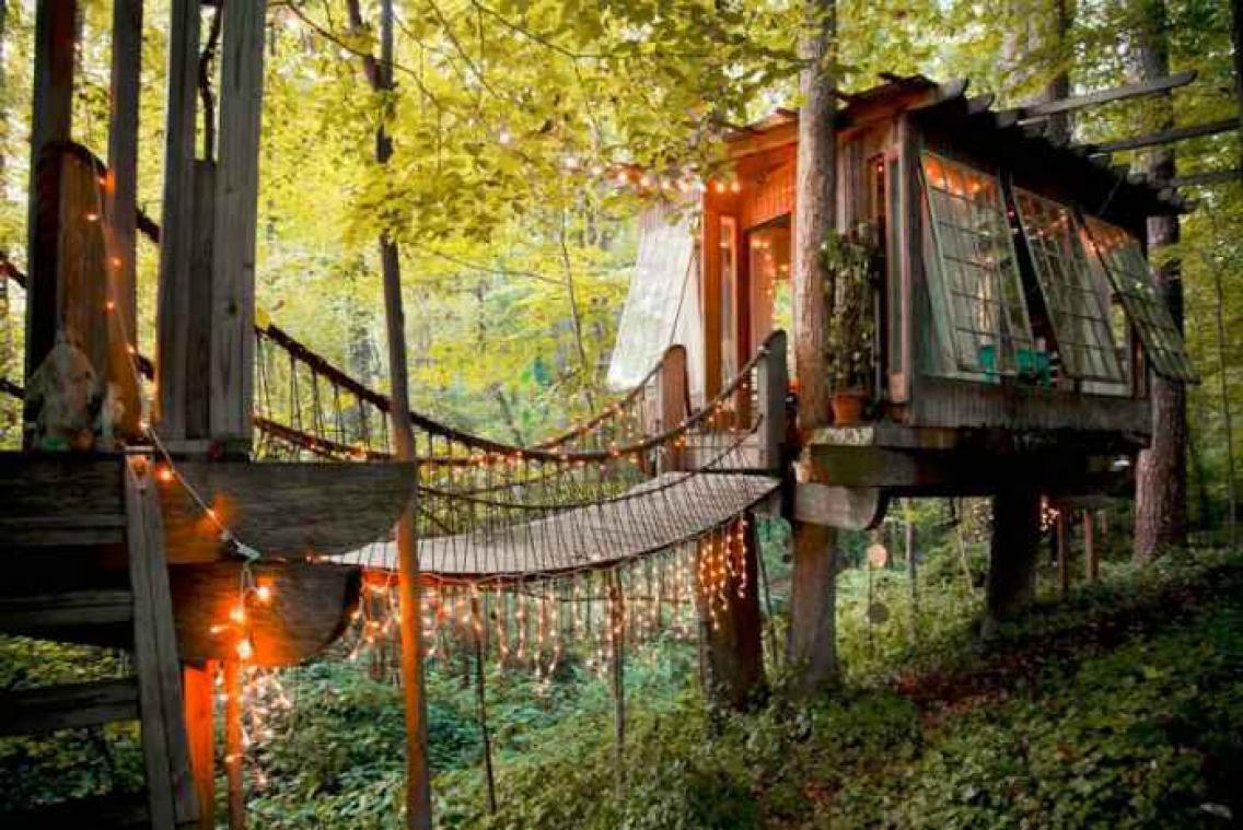 IN BEELD. Romantische boomhut is populairste plek op Airbnb