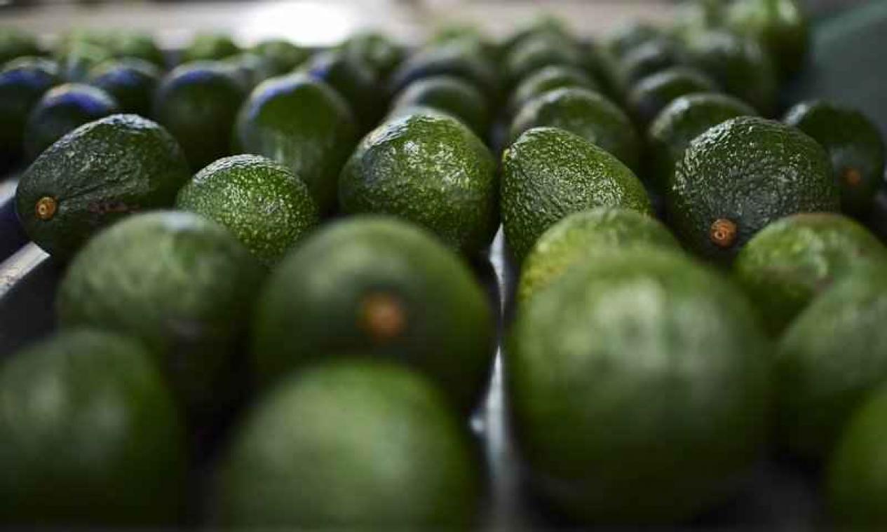 Amerikanen geven maandelijks 900.000 dollar uit aan avocadotoast