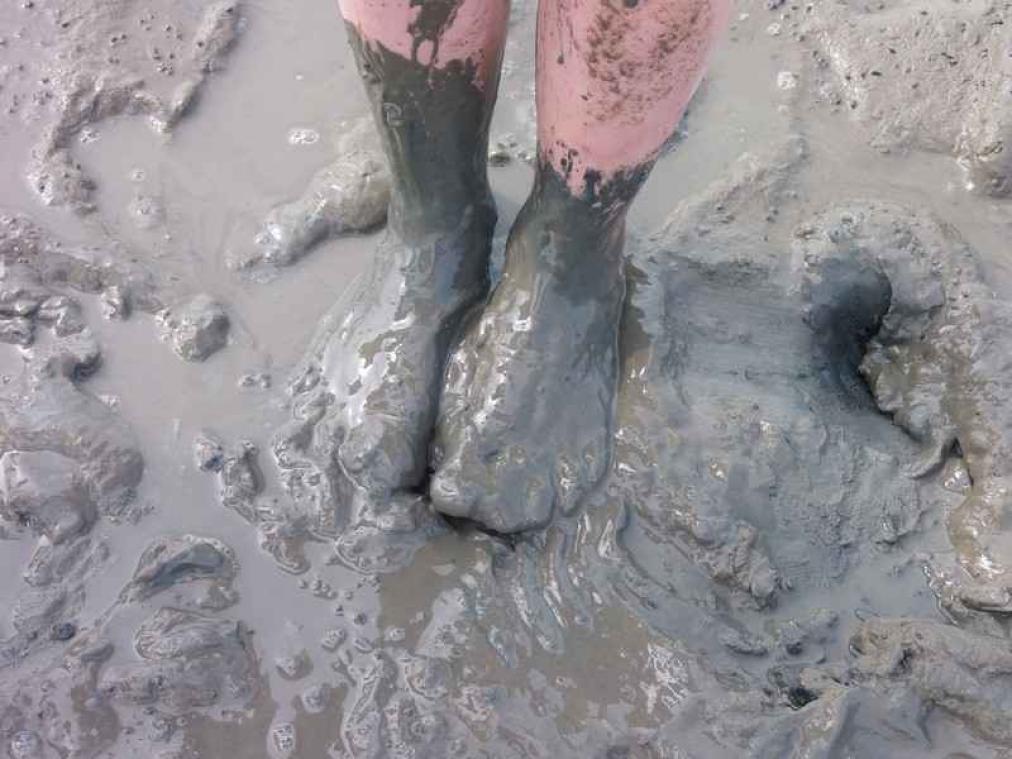 Geïmporteerde modder leidt tot rel in Nieuw-Zeeland