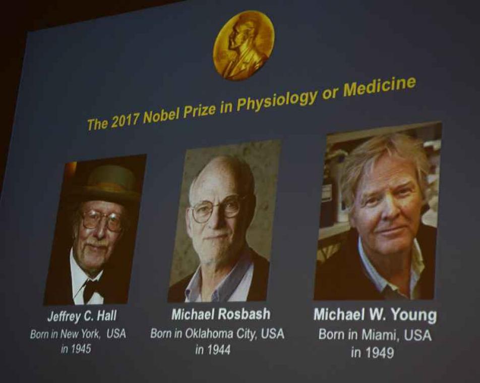 Nobelprijs voor Geneeskunde voor drie Amerikanen voor onderzoek naar bioritme