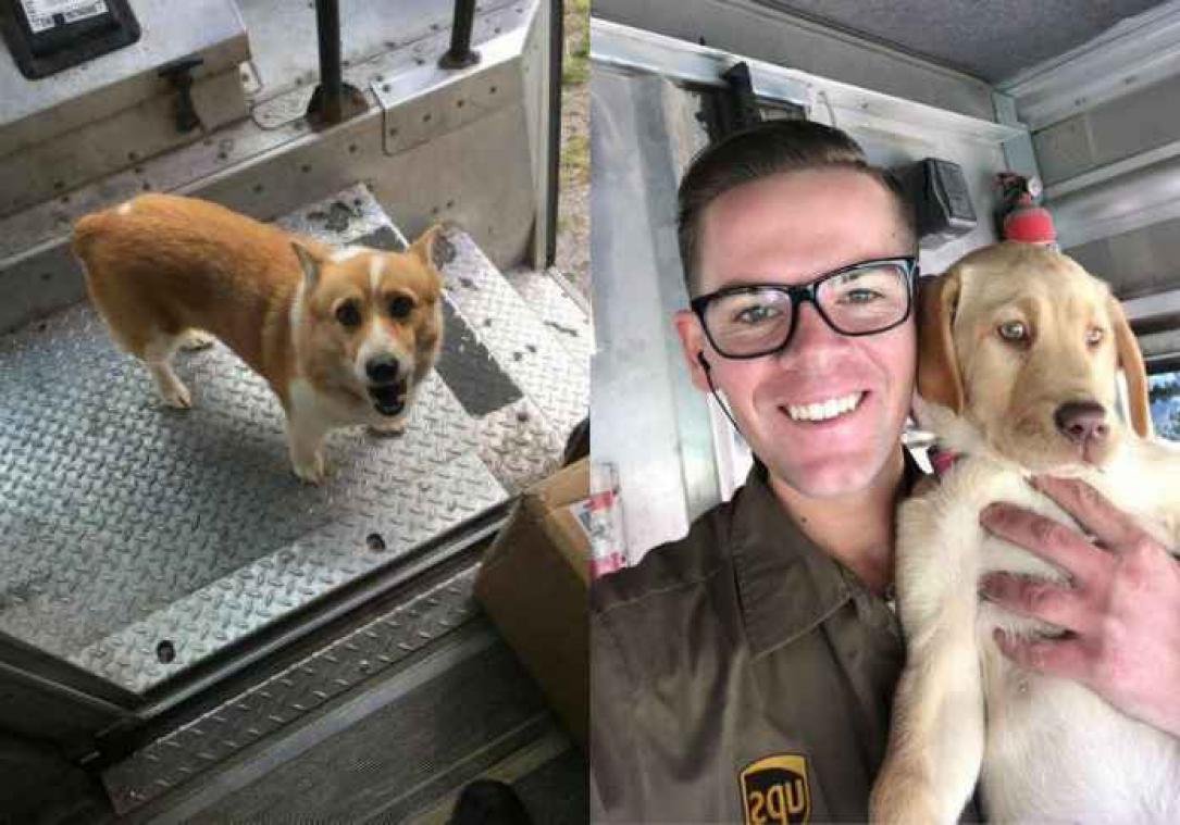 Pakketbezorgers hebben Facebookpagina over honden die ze onderweg tegenkomen