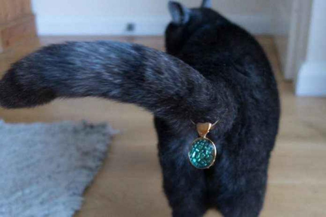 Er zijn nu ook juwelen voor kattenpoepen - Metrotime