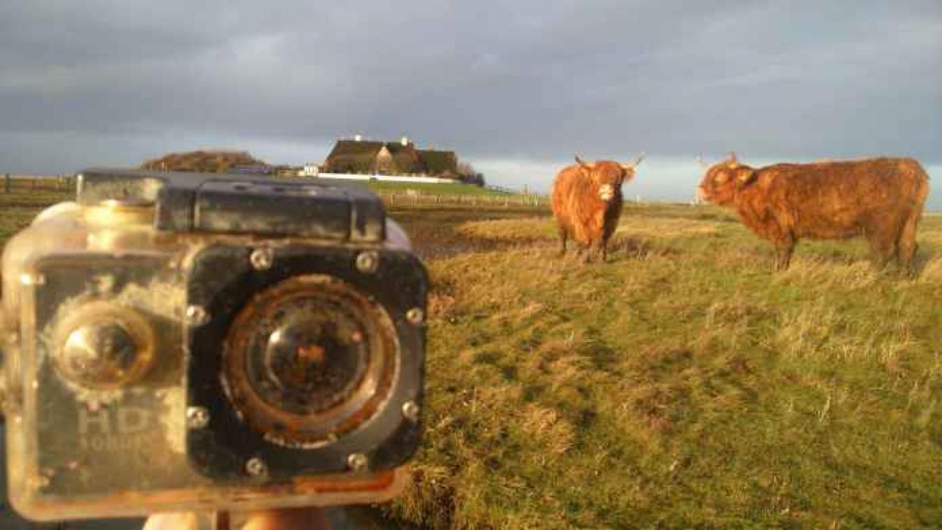 VIDEO. Vergeten camera maakt een reis doorheen de Noordzee