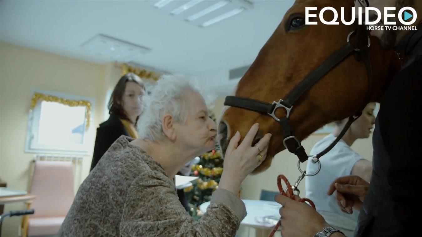 Peyo het paard helpt patiënten met alzheimer