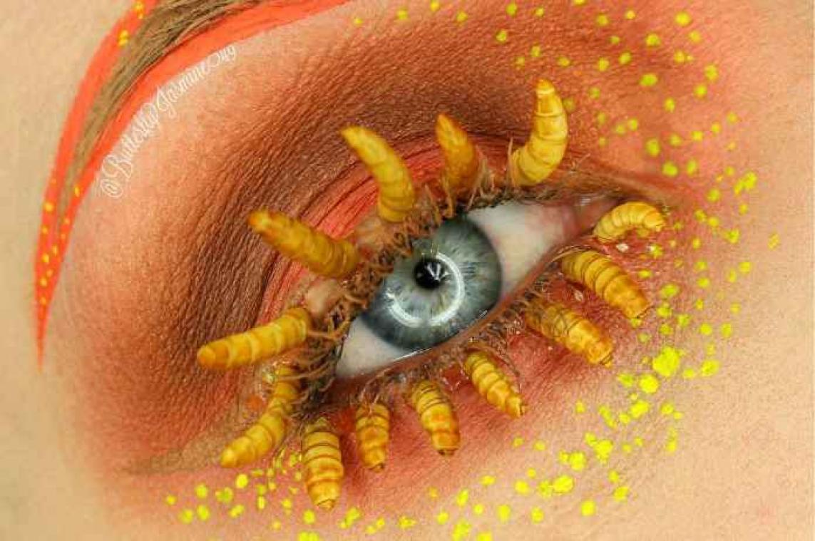 IN BEELD. Make-upartiest versiert haar ogen met dode insecten