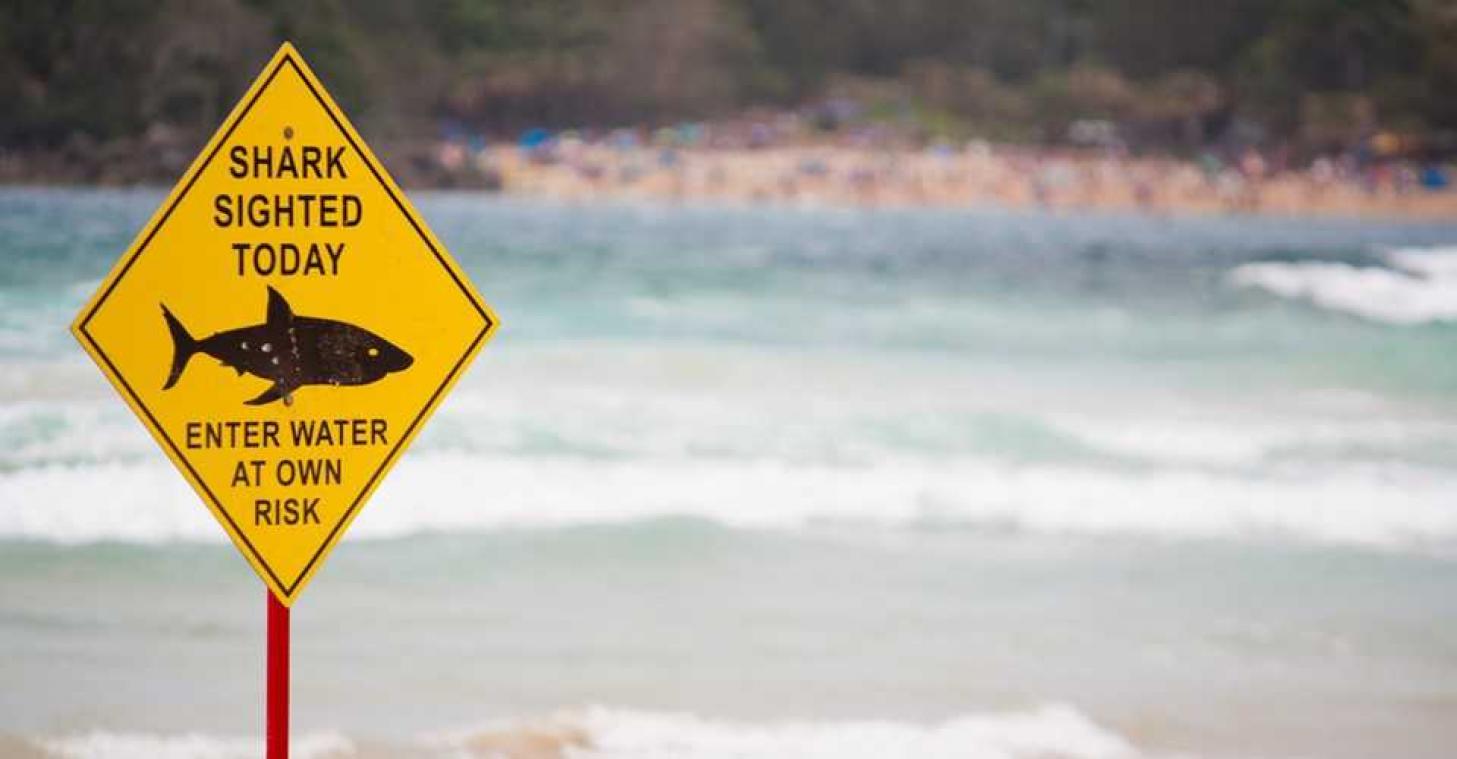 Australië bestrijdt haaien met drones