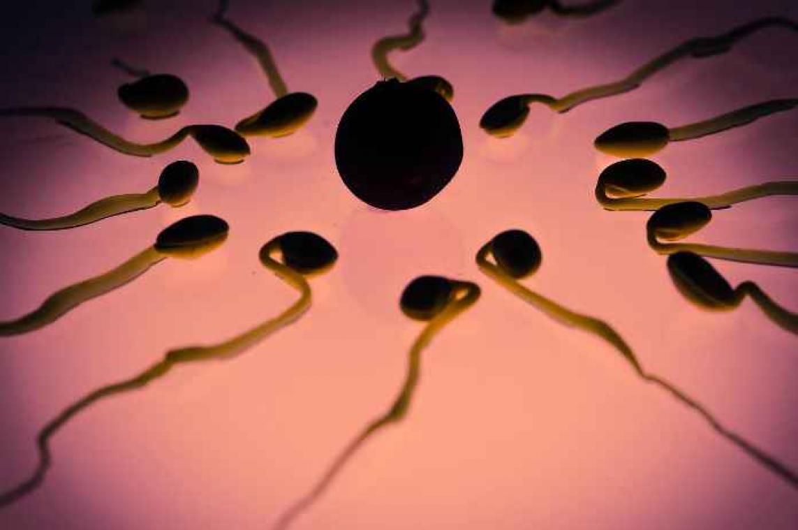 NASA stuurt sperma de ruimte in