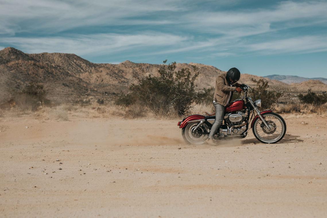 Harley Davidson zoekt stagiaires voor een roadtrip door Amerika